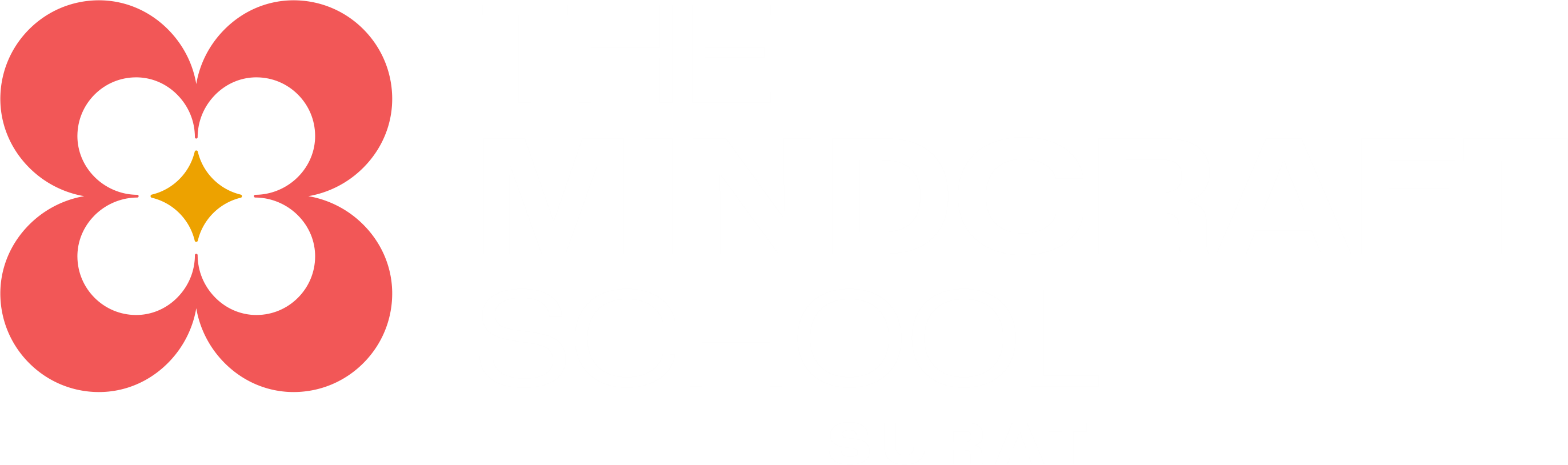 THE MINDCRAFT SCHOOL